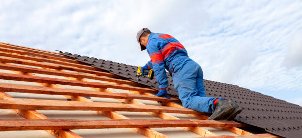 Best Gutter Installation and Repair  in Taylor, AL